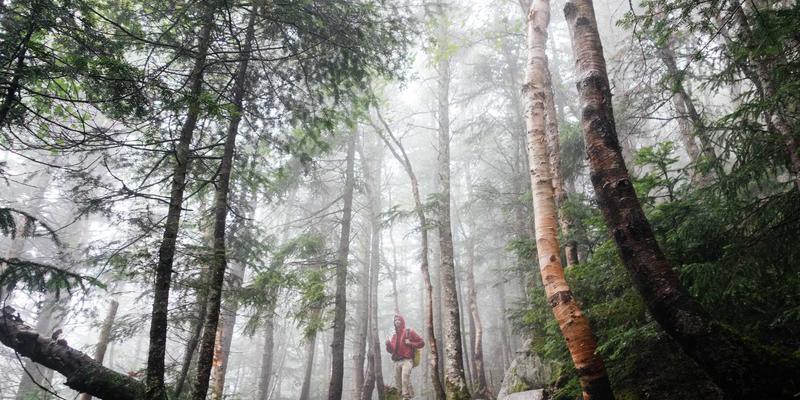 大连房产租赁投资全攻略：从选房到租客管理，实现稳定高回报