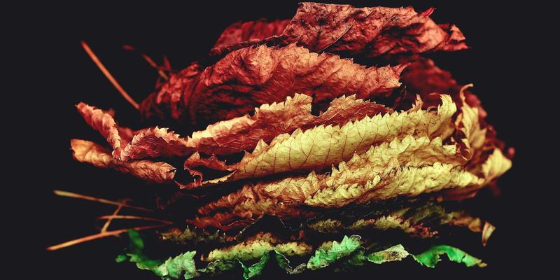 大连购房必读：2024年限购政策深度解析与购房资格自查全攻略